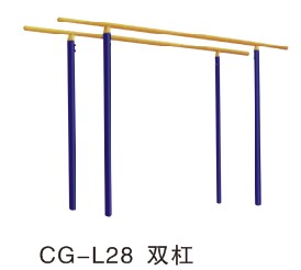 CG-L28˫