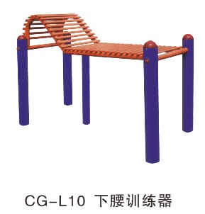 CG-L10  